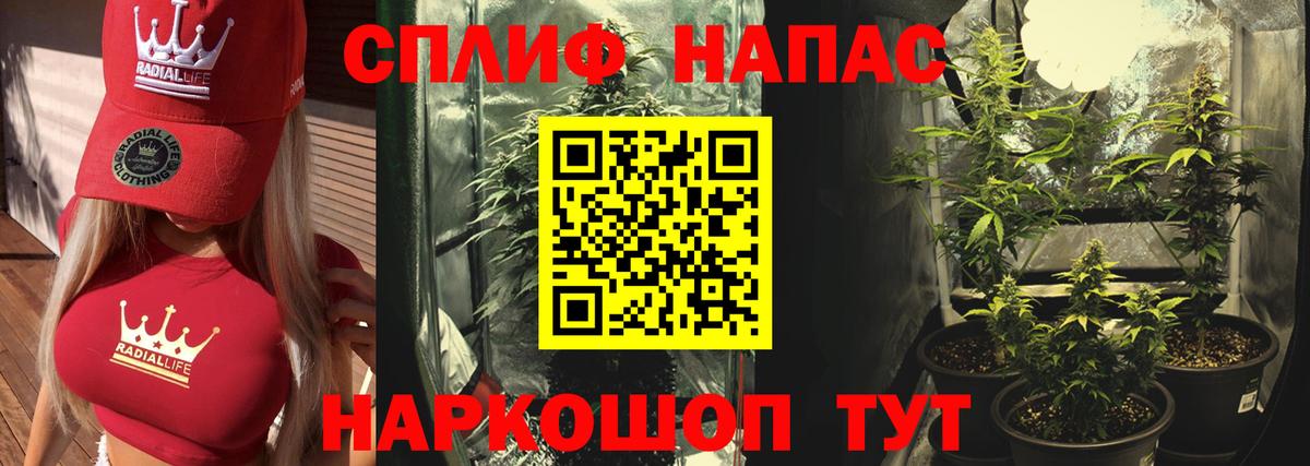 Шишки марихуана конопля Касимов